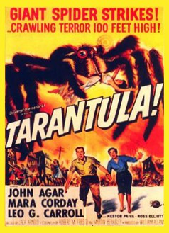 tarantula